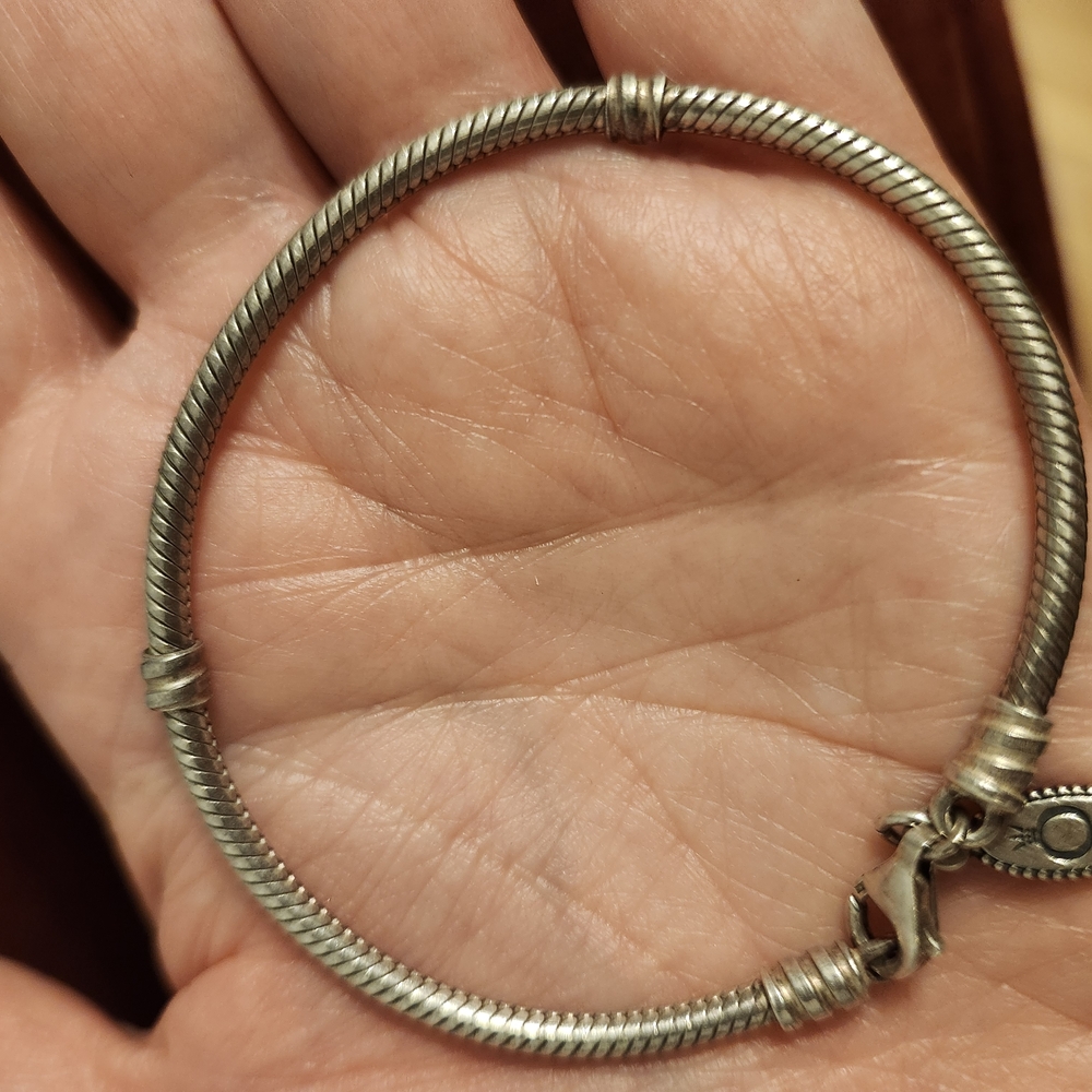 Pandora Silver Charm Bracelet